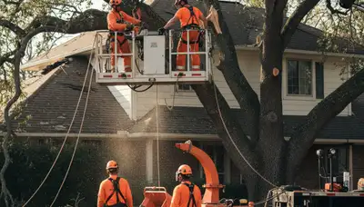 Baton Rouge tree service crew removing storm-damaged fallen trees in Louisiana