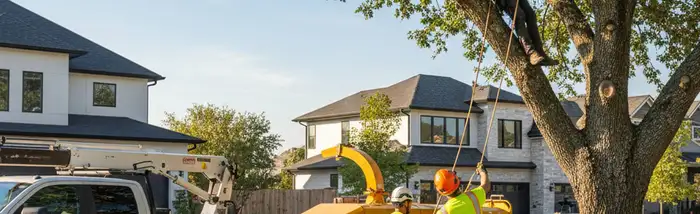 Professional tree removal crew serving Baton Rouge, LA for safe, efficient tree service