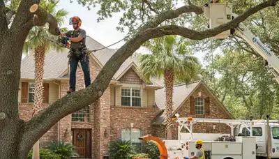 Baton Rouge, LA tree service crew removing a tree for safe residential property clearance